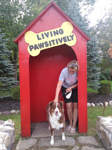 Pet Store «Living Pawsitively», reviews and photos, 39 NJ-15, Lafayette Township, NJ 07848, USA