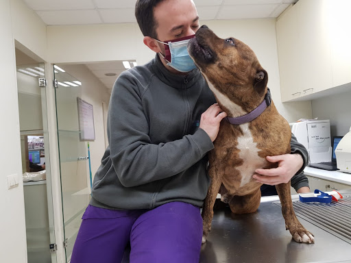 Pratdesaba Veterinaris Malla en Malla
