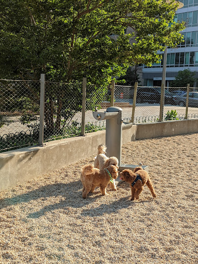 Dog Park Of Gantry Plaza State Park