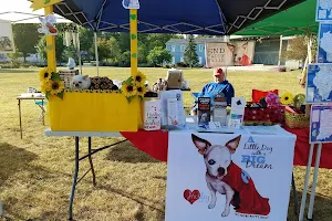 Buchanan Farmers’ Market image