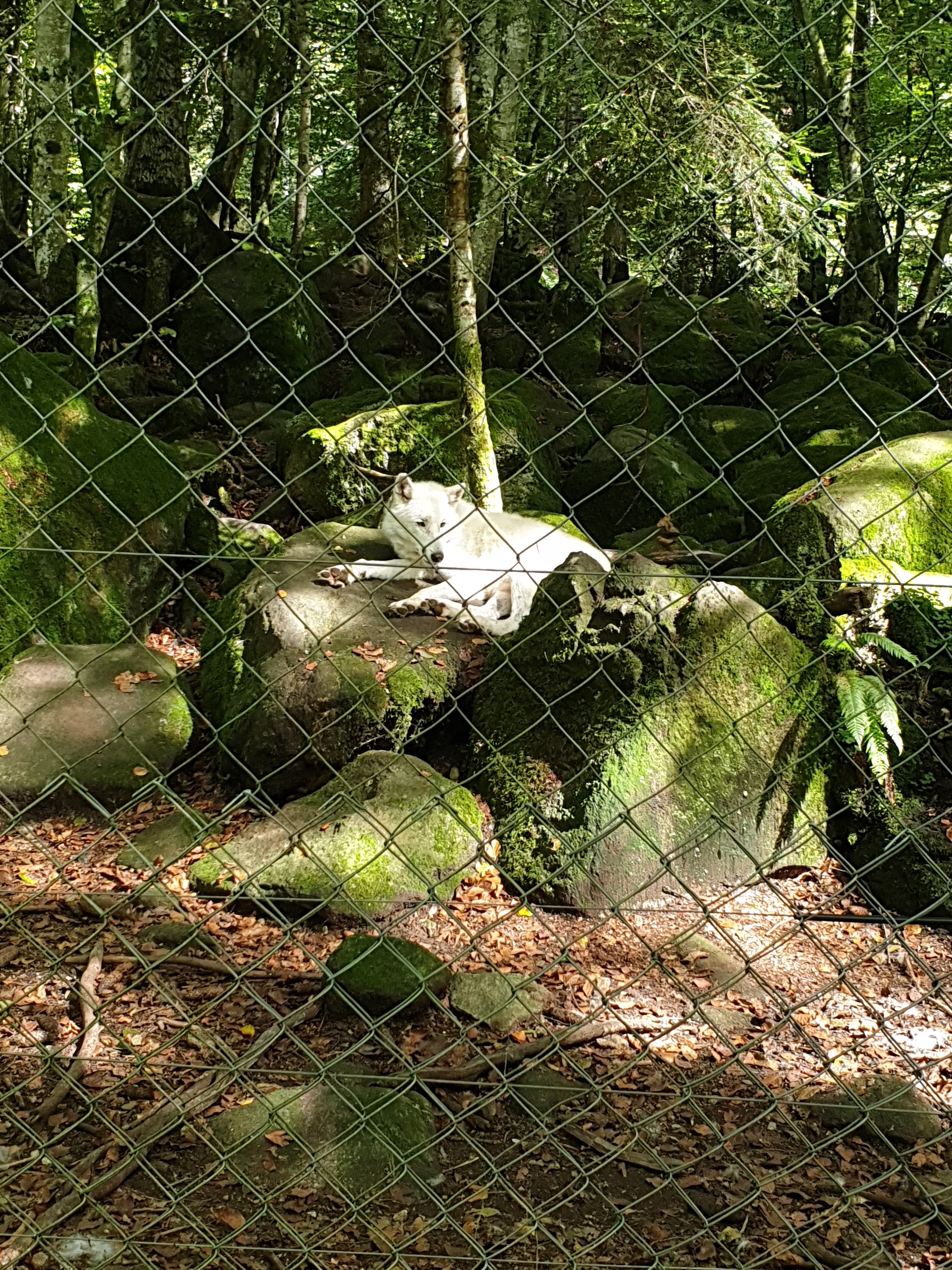 Photo n° 12 de l'avis de Sarah.h fait le 16/09/2020 à 12:45