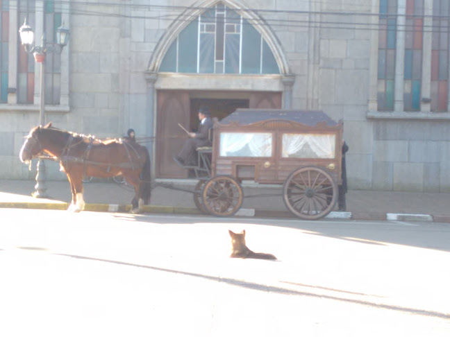 Comentarii opinii despre Parroquia Sagrado Corazón de Jesús