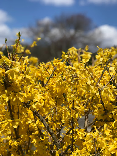 Golf Course «Whitney Farms Golf Course», reviews and photos, 175 Shelton Rd, Monroe, CT 06468, USA