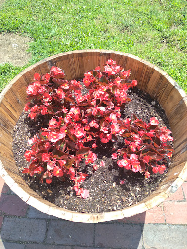 History Museum «SLATER MILL-Historic Site», reviews and photos, 67 Roosevelt Ave, Pawtucket, RI 02860, USA