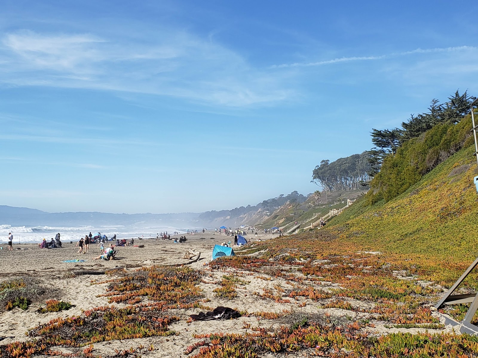 Manresa Beach'in fotoğrafı uçurumlarla desteklenmiş