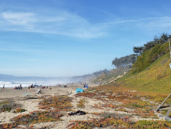 Manresa Beach'in fotoğrafı uçurumlarla desteklenmiş