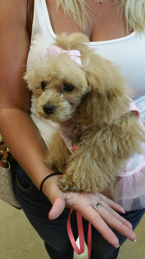 Pet Supply Store «PetSmart», reviews and photos, 2389 Taylor Park Dr, Reynoldsburg, OH 43068, USA