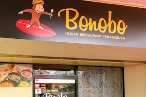 Indian food Bonobo image
