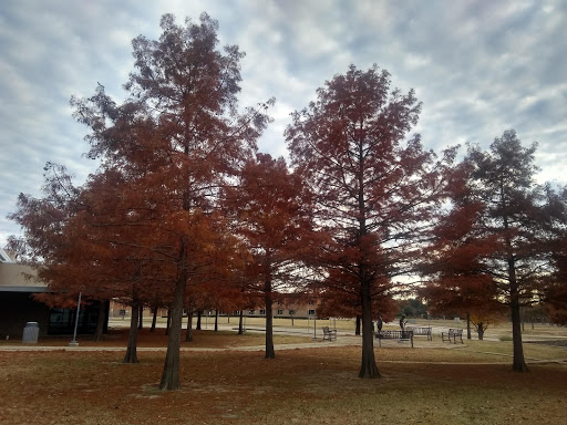 Recreation Center «Mustang Park Recreation Center», reviews and photos, 2223 Kinwest Pkwy, Irving, TX 75063, USA