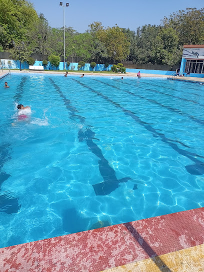 Swimming Pool Karnal