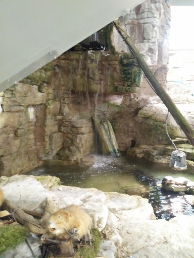 Shopping Mall «Cincinnati Mall», reviews and photos, 600 Cincinnati Mills Dr, Cincinnati, OH 45240, USA