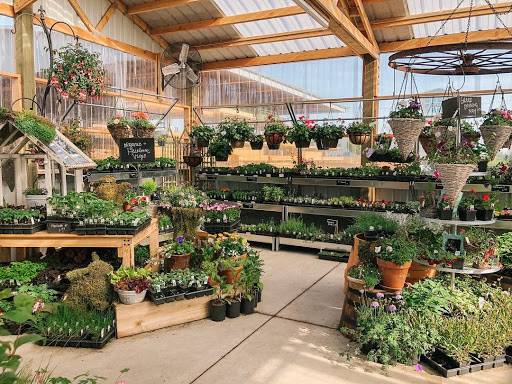 Hardware Store «Economy Supply of Lebanon», reviews and photos, 1055 Tangent St, Lebanon, OR 97355, USA