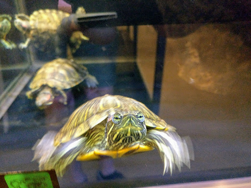 Pet Supply Store «Petco Animal Supplies», reviews and photos, 1320 E Lincoln Way p101, Sparks, NV 89434, USA