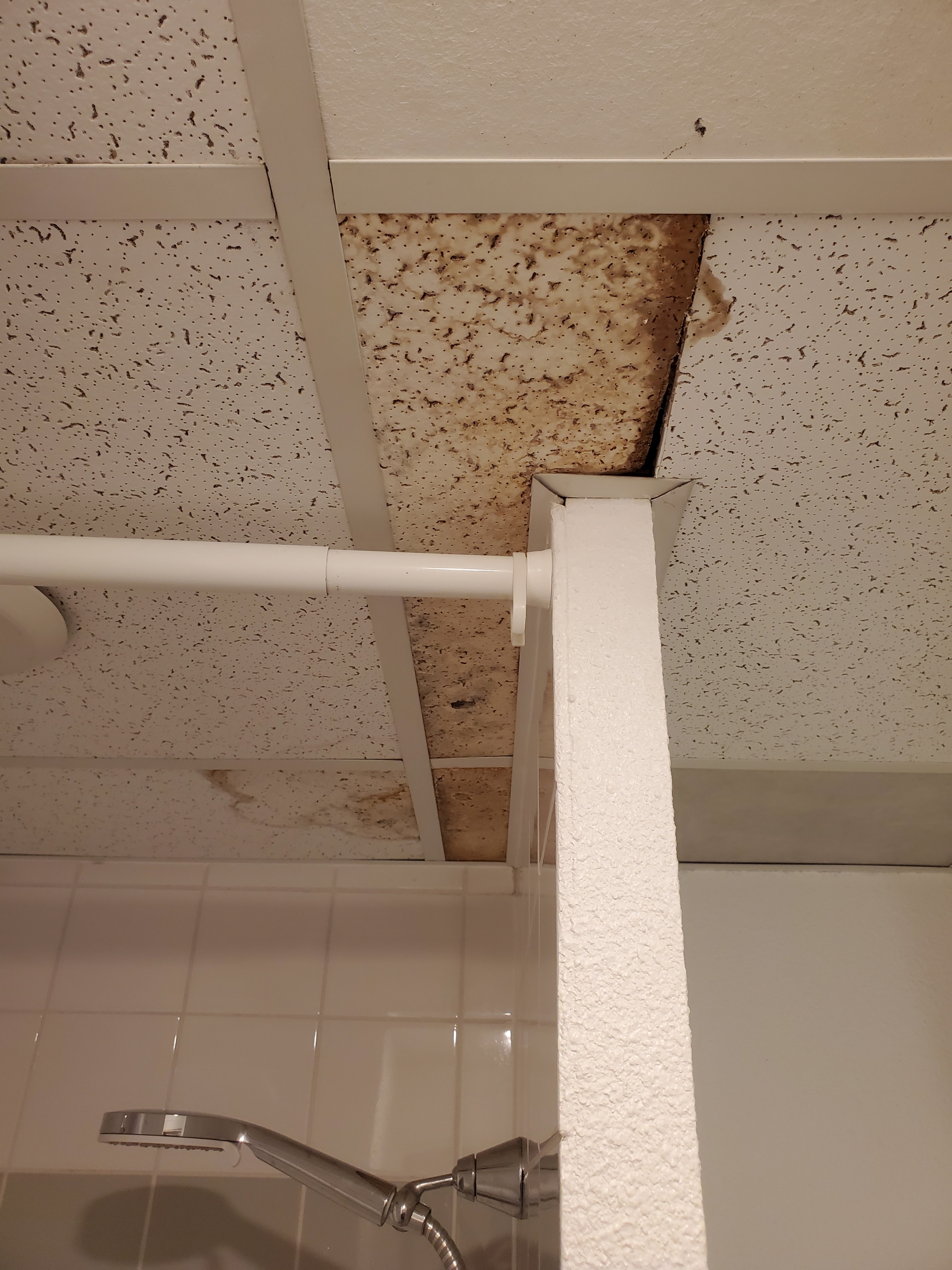 Photo n° 2 de l'avis de LAURENT.� fait le 25/02/2023 à 15:58