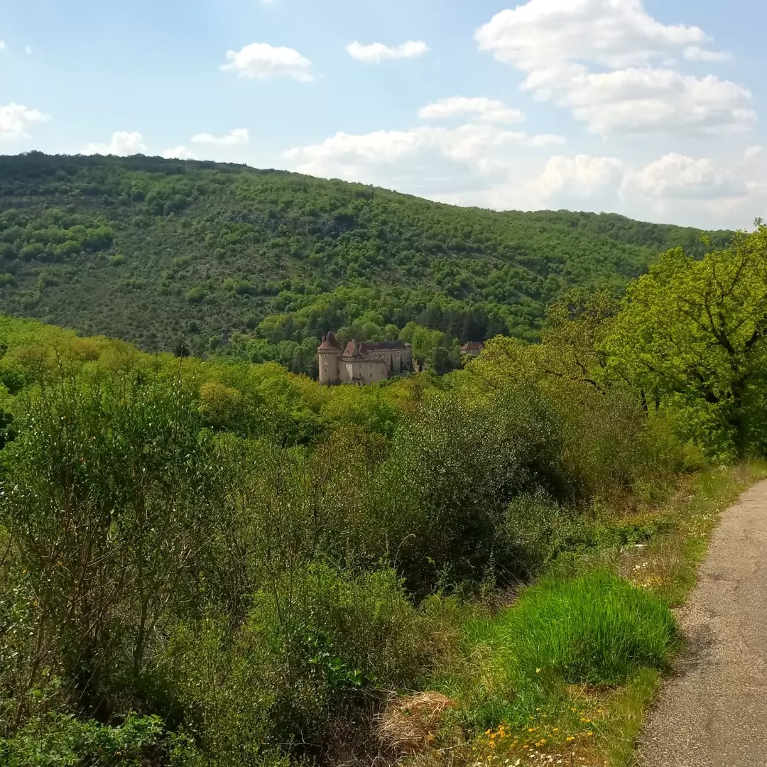 Photo n° 12 de l'avis de jean-françois.4 fait le 01/05/2022 à 15:48