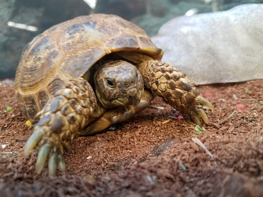 Pet Supply Store «Petco Animal Supplies», reviews and photos, 10 Sylvan St, Peabody, MA 01960, USA