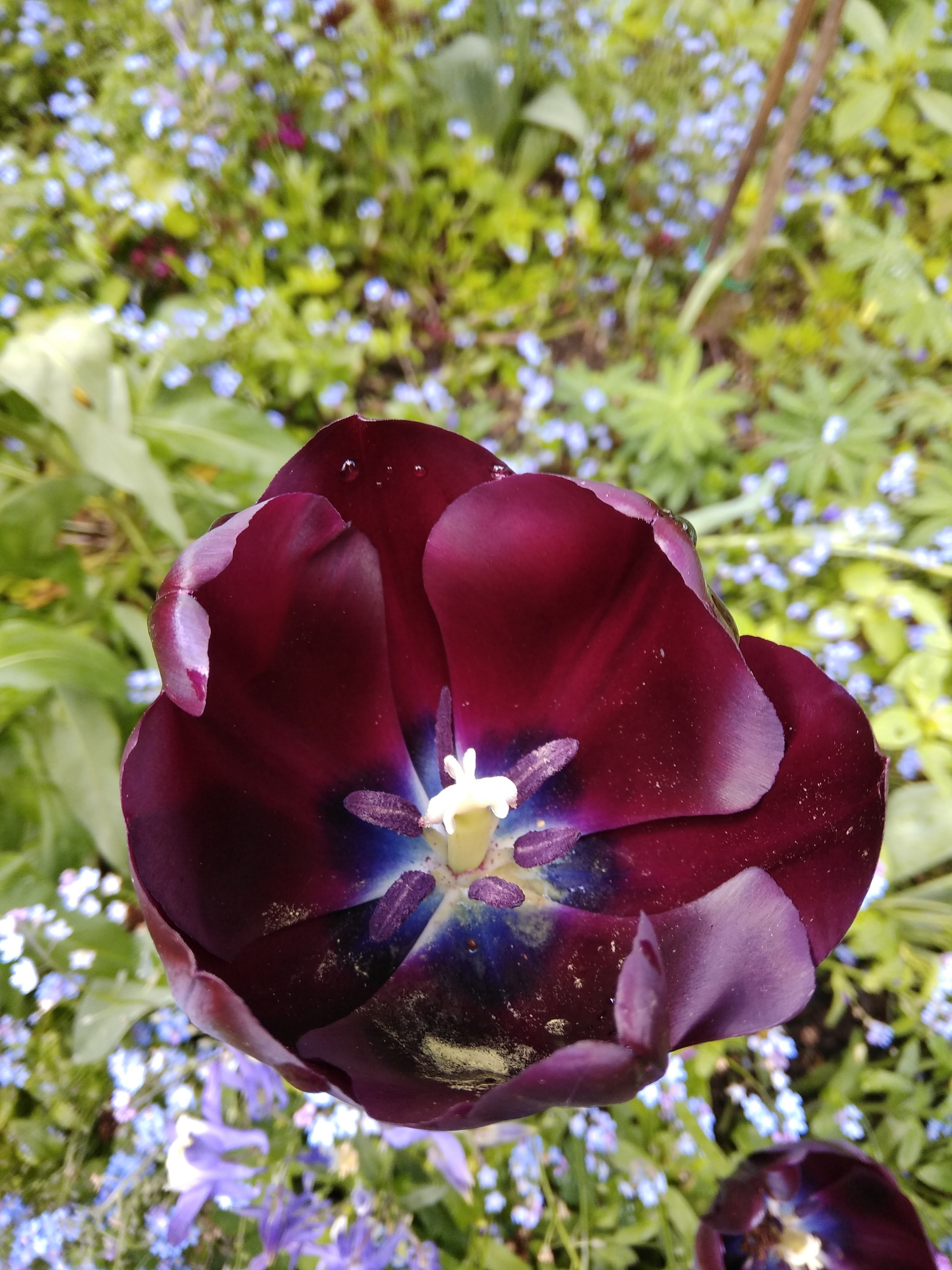 Photo n° 1 de l'avis de Michael.n fait le 03/05/2018 à 18:57