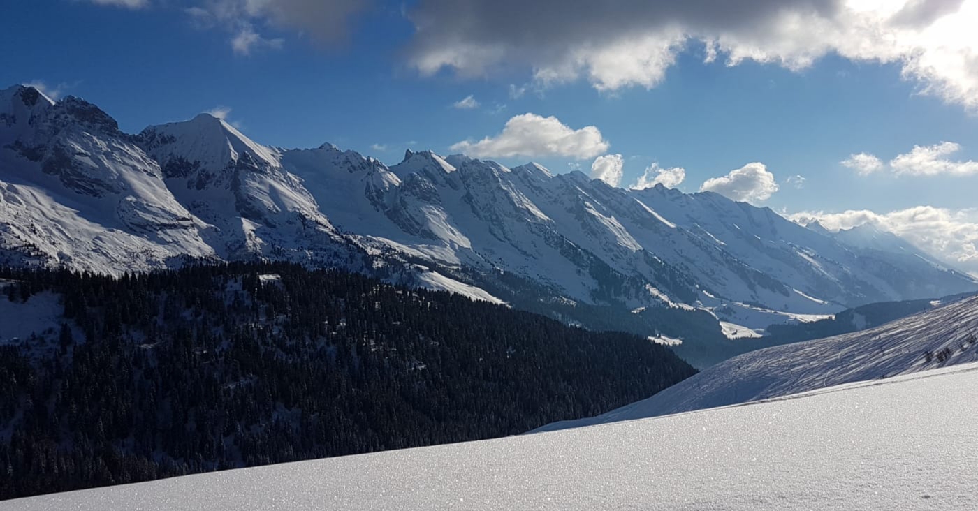 Photo n° 19 de l'avis de Francois.e fait le 06/02/2022 à 14:56