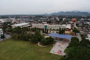 Pekan Nanas Public Park image