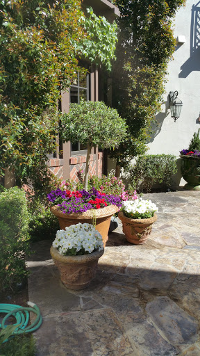 Mexican Restaurant «El Pollo Loco», reviews and photos, 4401 Clayton Rd, Concord, CA 94521, USA