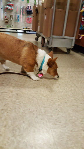 Pet Supply Store «PetSmart», reviews and photos, 2818 S Louise Ave, Sioux Falls, SD 57106, USA