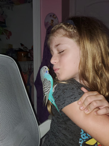 Pet Supply Store «Pet Supermarket», reviews and photos, 1125 Royal Palm Beach Blvd, Royal Palm Beach, FL 33411, USA