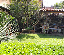 La Birria del Zapote photo