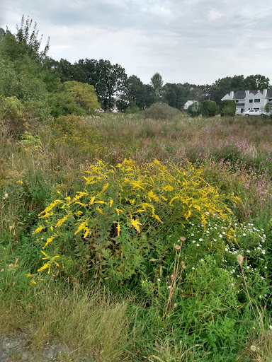 Memorial Park «Veterans Memorial Park», reviews and photos, 80 Broadway Rd, Dracut, MA 01826, USA