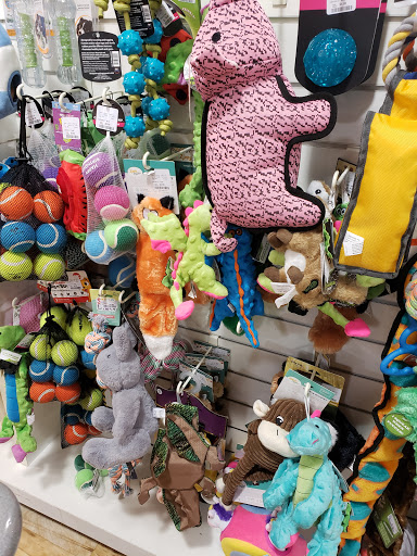 Department Store «T.J. Maxx & HomeGoods», reviews and photos, 4890 Integrity Way, Appleton, WI 54913, USA