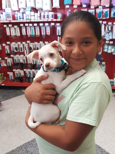 Pet Supply Store «Petco Animal Supplies», reviews and photos, 2722 N Josey Ln #107, Carrollton, TX 75007, USA