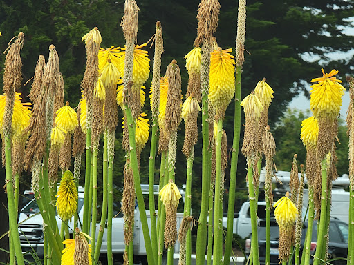 Shopping Mall «Valley West Shopping Center», reviews and photos, 5000 Valley W Blvd, Arcata, CA 95521, USA