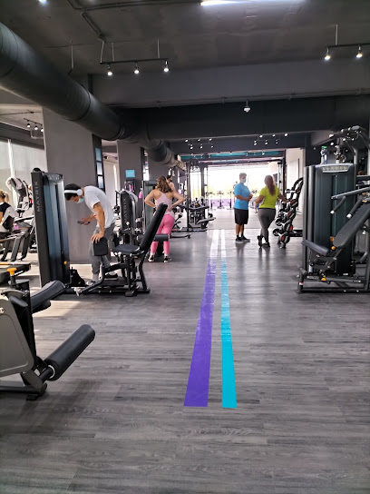 ANYTIME FITNESS NUEVO VALLARTA