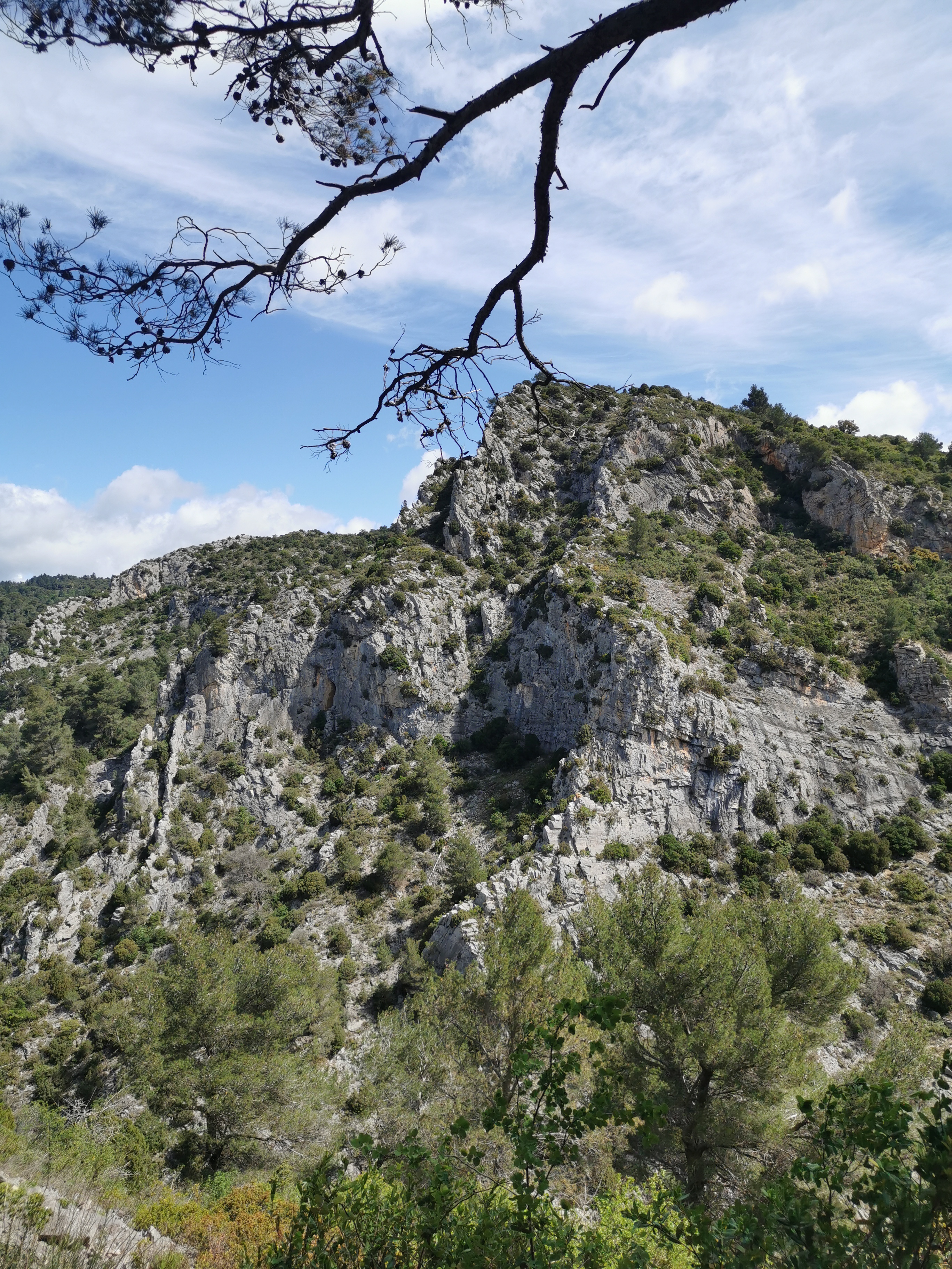 Photo n° 5 de l'avis de ronald.e fait le 17/05/2021 à 17:06