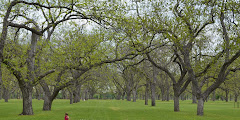 Berry Springs Park and Preserve