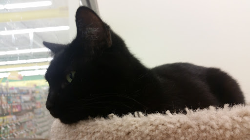 Pet Supply Store «Pet Supplies Plus», reviews and photos, 311 Sagamore Pkwy N, Lafayette, IN 47904, USA