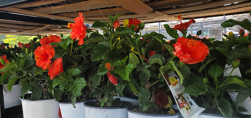 Home Improvement Store «The Home Depot», reviews and photos, 2008 Magwood Dr, Charleston, SC 29414, USA