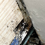 Photo n° 4 de l'avis de Suprême.o fait le 09/11/2020 à 15:07 pour Carrefour Toulon Grand Var à La Valette-du-Var