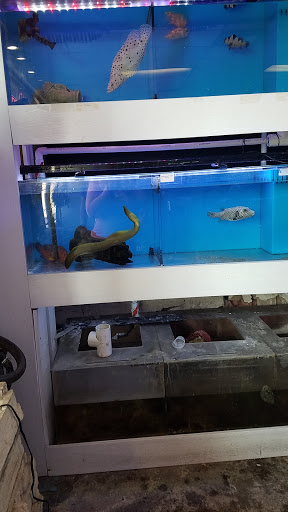 Pet Store «Pet World», reviews and photos, 891 Harriman Pl, San Bernardino, CA 92408, USA