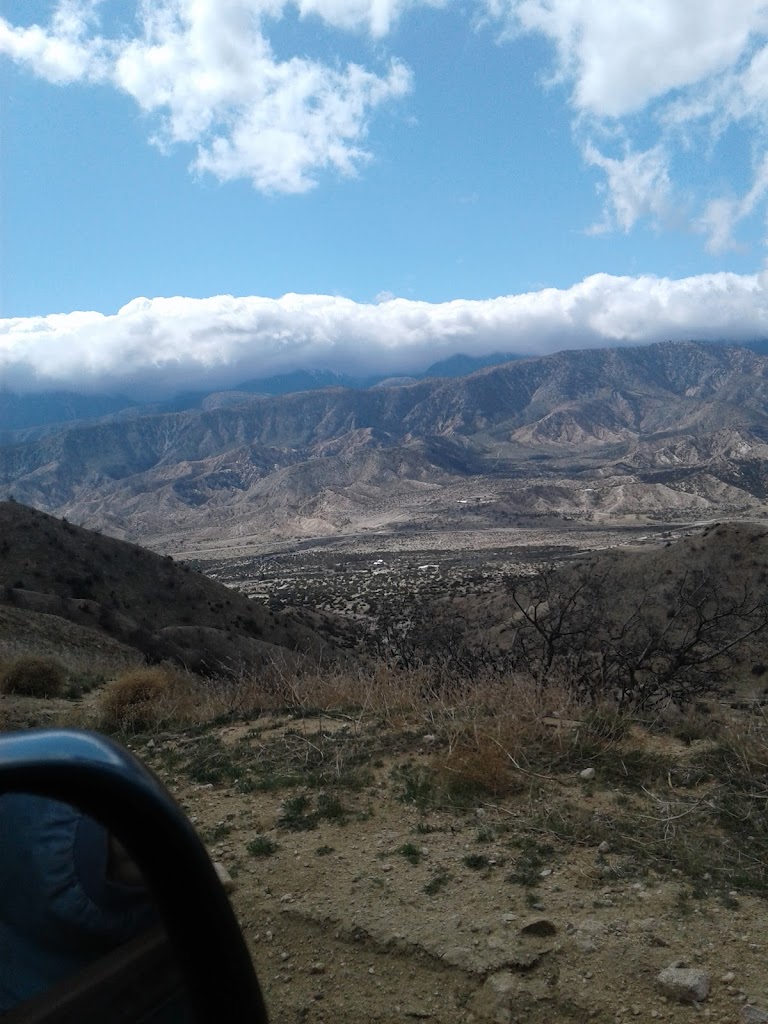 Cow And Goat Milk 92371