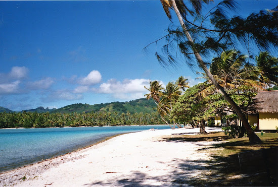 Jardin de Corail