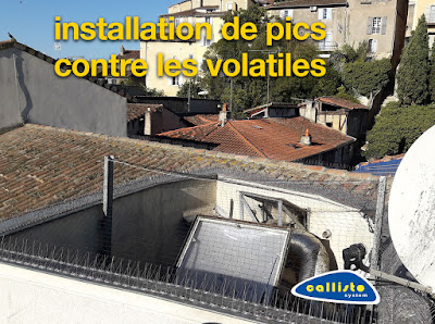 CALLISTO Préservation - Gers 32 à Eauze
