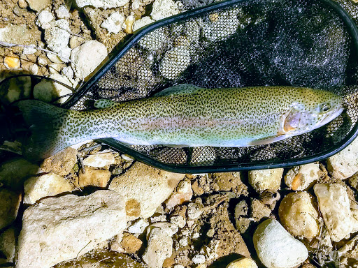 Golf Club «Linville Land Harbor Golf Club», reviews and photos, 1665 Goose Hollow Rd, Linville, NC 28646, USA