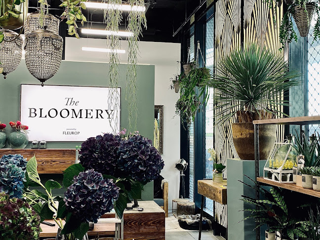 The BLOOMERY