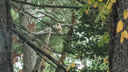 Country Club «Woodcrest Country Club», reviews and photos, 300 E Evesham Rd, Cherry Hill, NJ 08003, USA