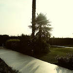 Photo n°19 de l'avis de Zoltànné.o fait le 28/07/2019 à 19:36 sur le  Omnia Hotel à Noventa di Piave