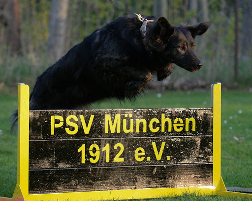 PSV 1912 - Polizei- und Schutzhund Verein