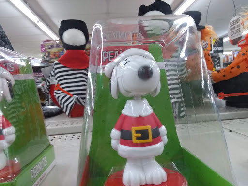 Discount Store «Dollar General», reviews and photos, 31550 FM306, Spring Branch, TX 78070, USA