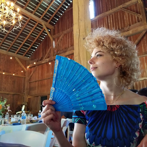 Wedding Venue «Hidden Vineyard Wedding Barn», reviews and photos, 6337 Snyder Rd, Berrien Springs, MI 49103, USA