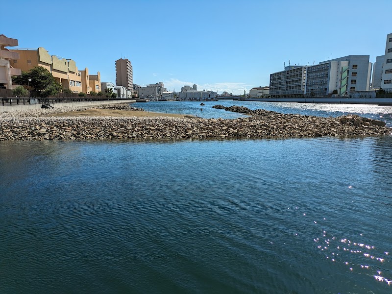 あつまれ生きものの浜 (兵庫運河干潟)