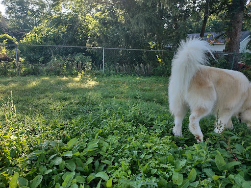 Pet Supply Store «Pet Supplies Plus», reviews and photos, 3100 Manchester Rd, Akron, OH 44319, USA